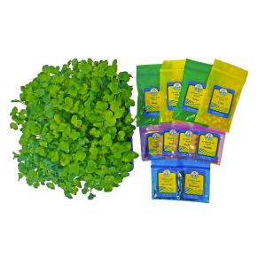 Grades K-2 Tabletop Living Lab - REPLENISH Kit Clearance Exclusive