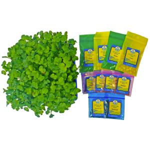 Grades 3-5 Tabletop Living Lab - REPLENISH Kit Discount Shop Offer
