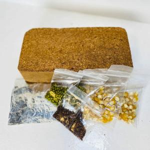 Grades 6-8 Tabletop Living Lab - REPLENISH Kit Buy Cheap Comfortable