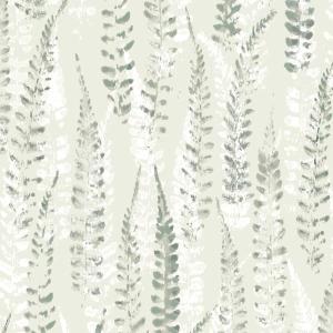 Brushed Fern 19542 Shop For Sale