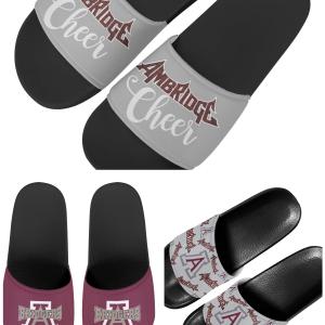 Ambridge Slides Manchester For Sale