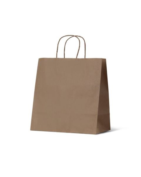 Medium Takeaway Kraft Brown Paper Gift Bag - 250PK Cheap New Styles