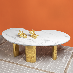 Radiant Rendezvous Centre Table (Stainless Steel) Free Shipping Online