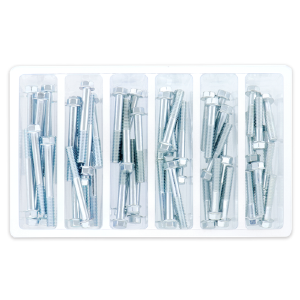 Bolt SV-M6HEXF-2 Service Assortments and Refills #SV-M6HEXF-2 For Sale 2025