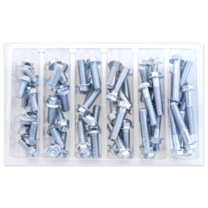 Bolt SV-M8HEXF  Service Assortments and Refills #SV-M8HEXF Outlet Big Discount