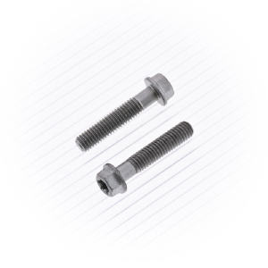 Bolt 024-60630 Euro Style Torx Flange Bolt 6 x 30 mm #024-60630 Footlocker Online