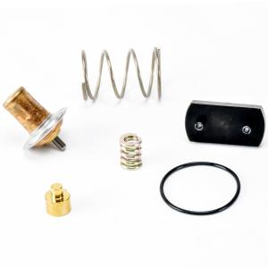 Cold Weather Package Thermostat Service Kit Comfortable