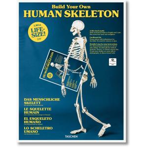 Build Your Own Human Skeleton – Life Size! Buy Cheap Release Dates