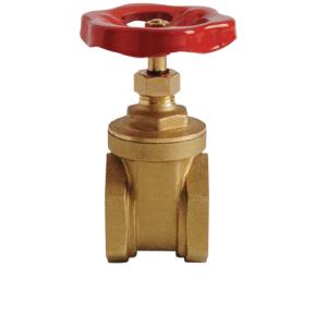 Showy Brass Gate Valve 1-1/4" -5094 | Model : SHOWY-5094 Explore