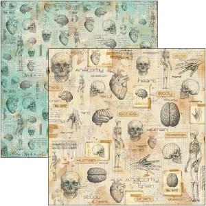 Ciao Bella - Sign of the times - Human Anatomy - Paper -  12 x 12" Cheap Sale Choice