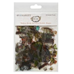 49 and Market - Nature Study - Acetate Shapes - Specimen Limited Edition Sale Online