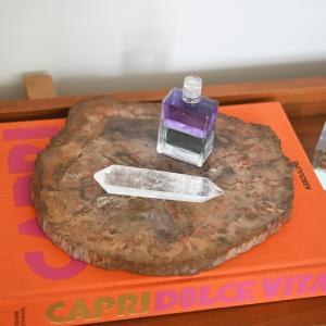Yellow Petrified Wood Slab 5lbs Sale Ebay