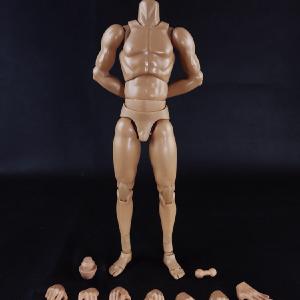 COO Model - Standard Muscle Arm Body - Tall Cheap Sale Explore