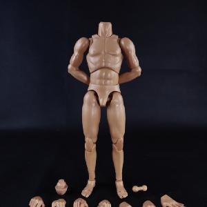 COO Model - Standard Muscle Arm Body Outlet