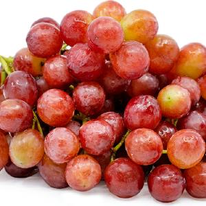 Produce Red Seedless Grapes kg Free Shipping The Cheapest
