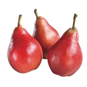Produce Red Pears Buy Cheap Outlet Locations