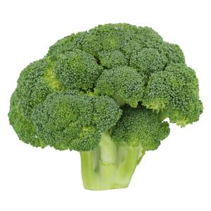 Produce Broccoli Crown Cut Classic Cheap Pice