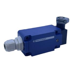 Telemecanique XCKS159H29 Positionsschalter Telemecanique XCKS159H29 XCKS159H29 X Discount Largest Supplier