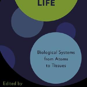 Imaging Life Pices Cheap Online