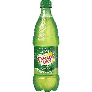 Canada Dry Ginger Ale 500ml Cheap For Cheap