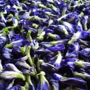 Butterfly Pea Flower Buy Cheap Best Place