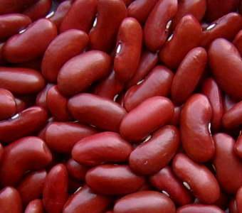 Organic to the Root Kidney Beans - 500g Clearance Deals