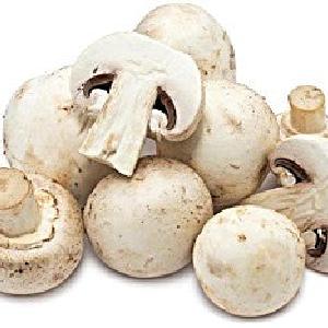 West Coast Mushrooms Whole Mushrooms 8oz Clearance Websites