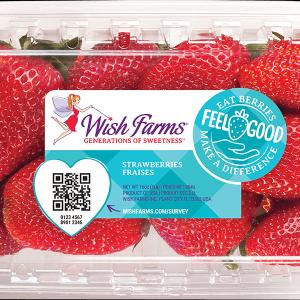Wish Farms Strawberries 454g Outlet 2025 Unisex
