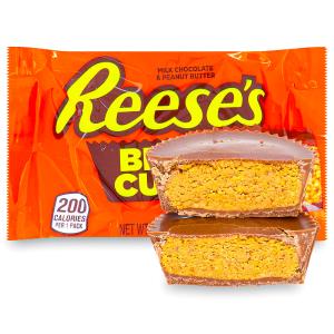 Reese's Big Cup - 1.4oz Outlet Factory Outlet
