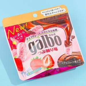 Meiji Galbo Strawberry Chocolate Free Shipping Fashionable