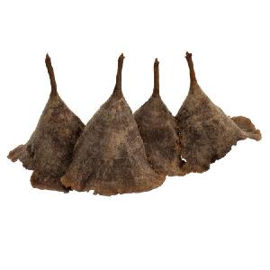 3"-10" Dried and Preserved Assorted Natural Calice Mushrooms Approximately 100 Pieces Sale High Quality