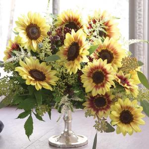 Bulk Sunflower Seeds - Marley Enjoy Online