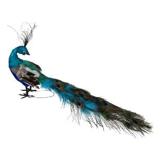 23.5" Regal Peacock with Closed Tail Feathers Christmas Decoration Buy Cheap Websites