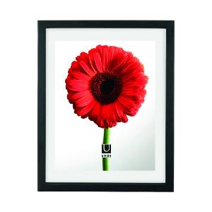 11" x 14" Document Frame Wide Range Of Online