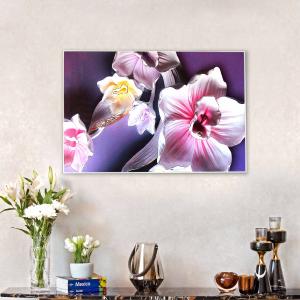 Water Lilly Framed Canvas Print Comfortable Online