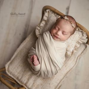 Bed Linens | Cream Sparkle Inexpensive