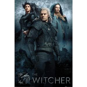 The Witcher Poster Fate Comfortable Online