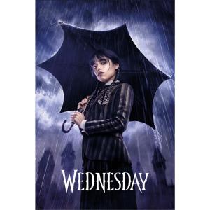 Wednesday Downpour Poster Free Shipping Eastbay