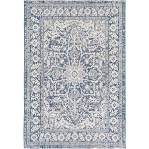 Eagean 5'3" x 7'7" Area Rug Online Cheap Pice