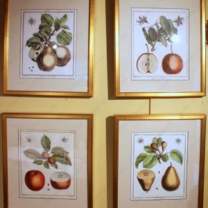 Reproduction Pear and Apple Prints - Framed Sale Footlocker Pictures