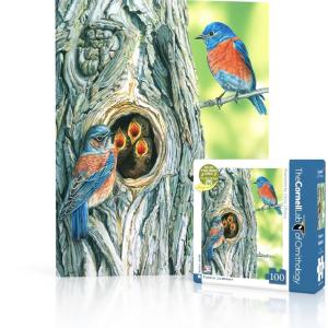 Western Bluebird Mini Buy Cheap From China