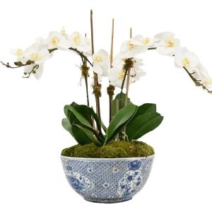 3 Stem White Orchid in Porcelain Trellis Bowl Cheap Visa Payment