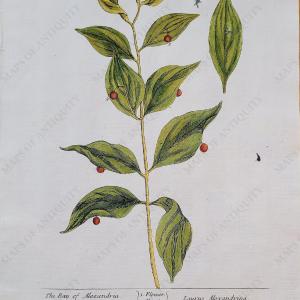 1739 - The Bay of Alexandria - Antique Print Real Cheap Online