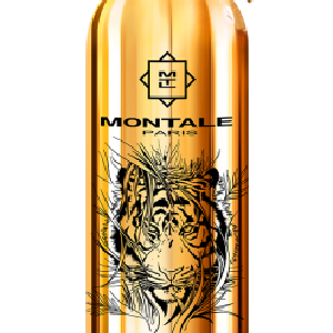 Bengal Oud Montale Best Place For Sale