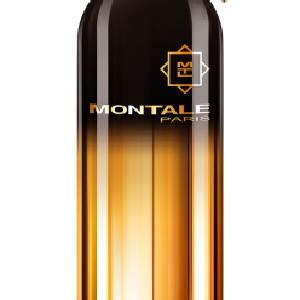 Vetiver Patchouli Montale New Arrival