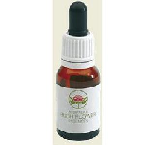 Old Man Banksia Austr 15ml Gtt Buy Cheap With Mastercard