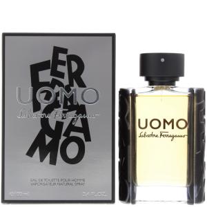Salvatore Ferragamo Uomo Eau de Toilette 100ml Reliable Online