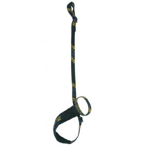 Black Diamond Lockdown Leash Outlet Reliable