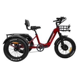 Trinity, Foldable Fat-Tire E-Trike Cheap Sale 100% Original
