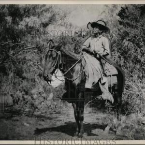 1916 Press Photo Texas Rangers - cvp99777 For Sale Online